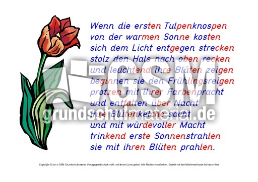 Tulpe-Abschreibtexte 4.pdf